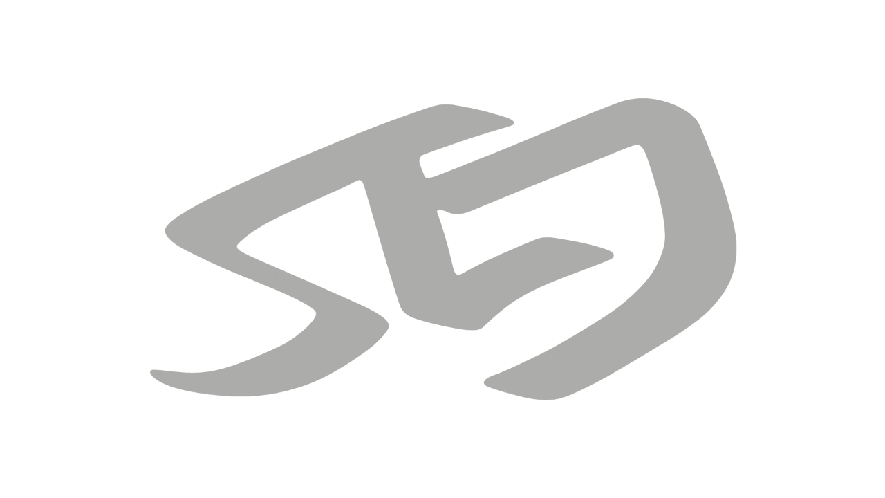 03_Logo_Wireframe_1 2